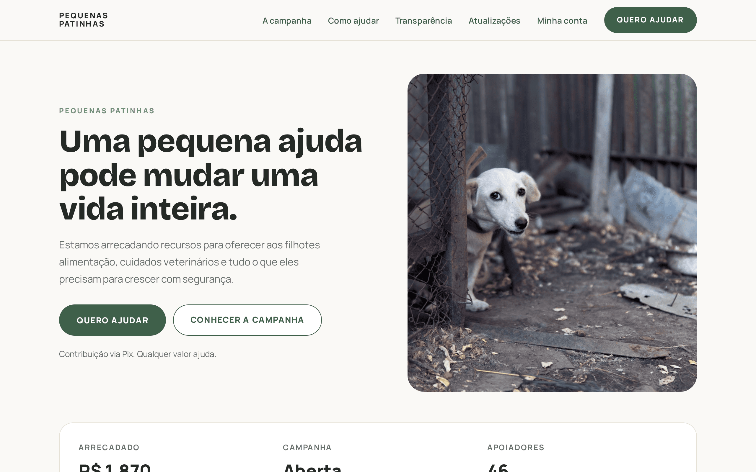 A heartfelt crowdfunding campaign giving abandoned puppies a fighting chance.