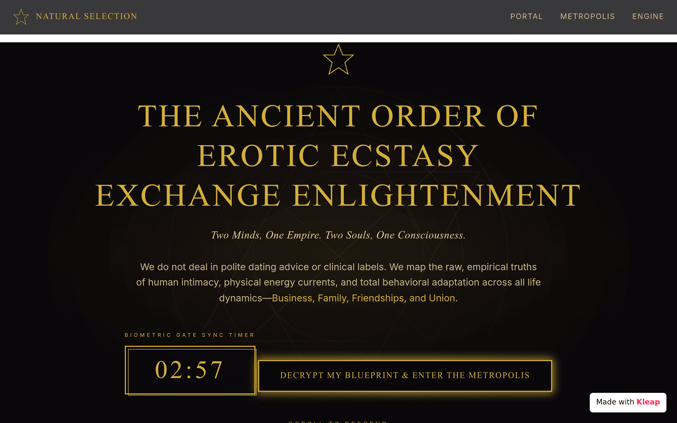 Screenshot of Lead Developer