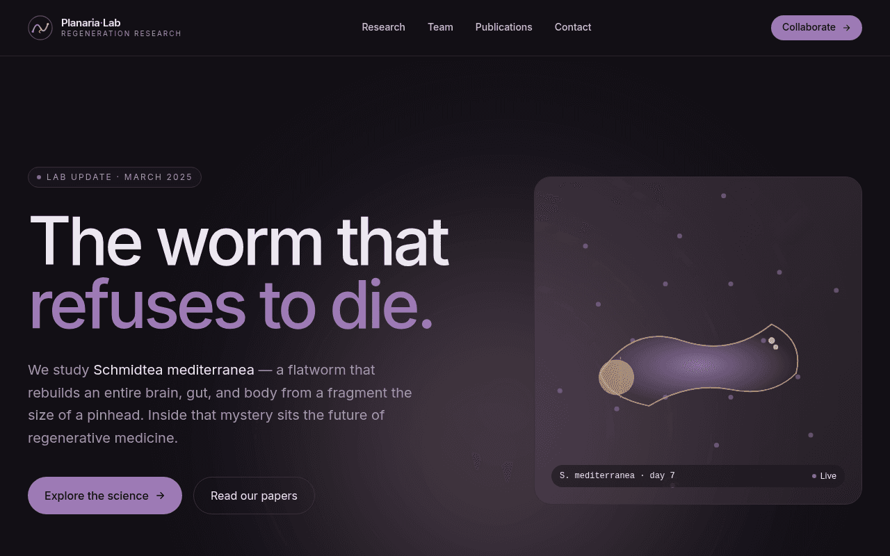 planaria regeneration laboratory