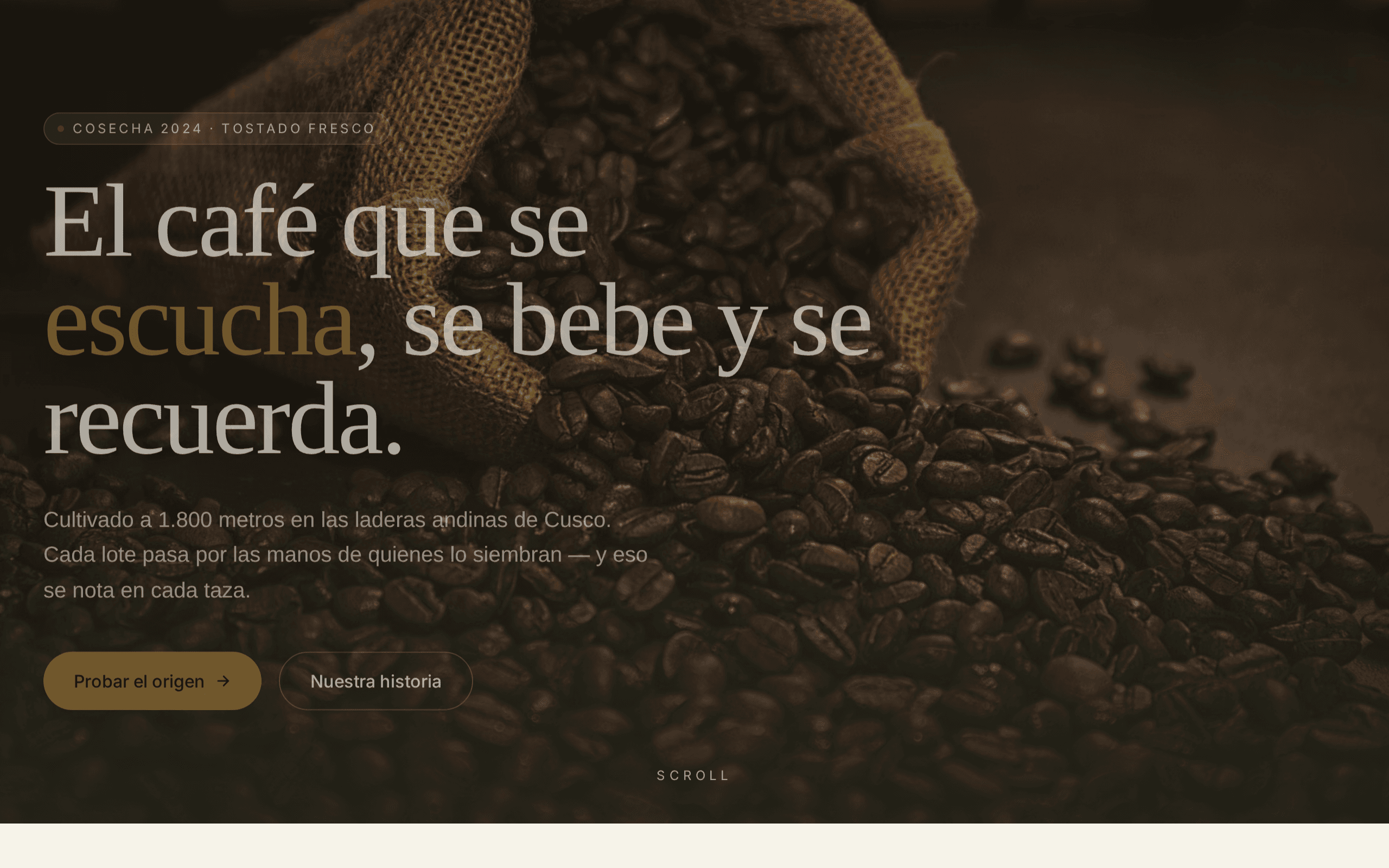 Heritage Peruvian coffee grown at altitude, roasted fresh, remembered long after the last sip.
