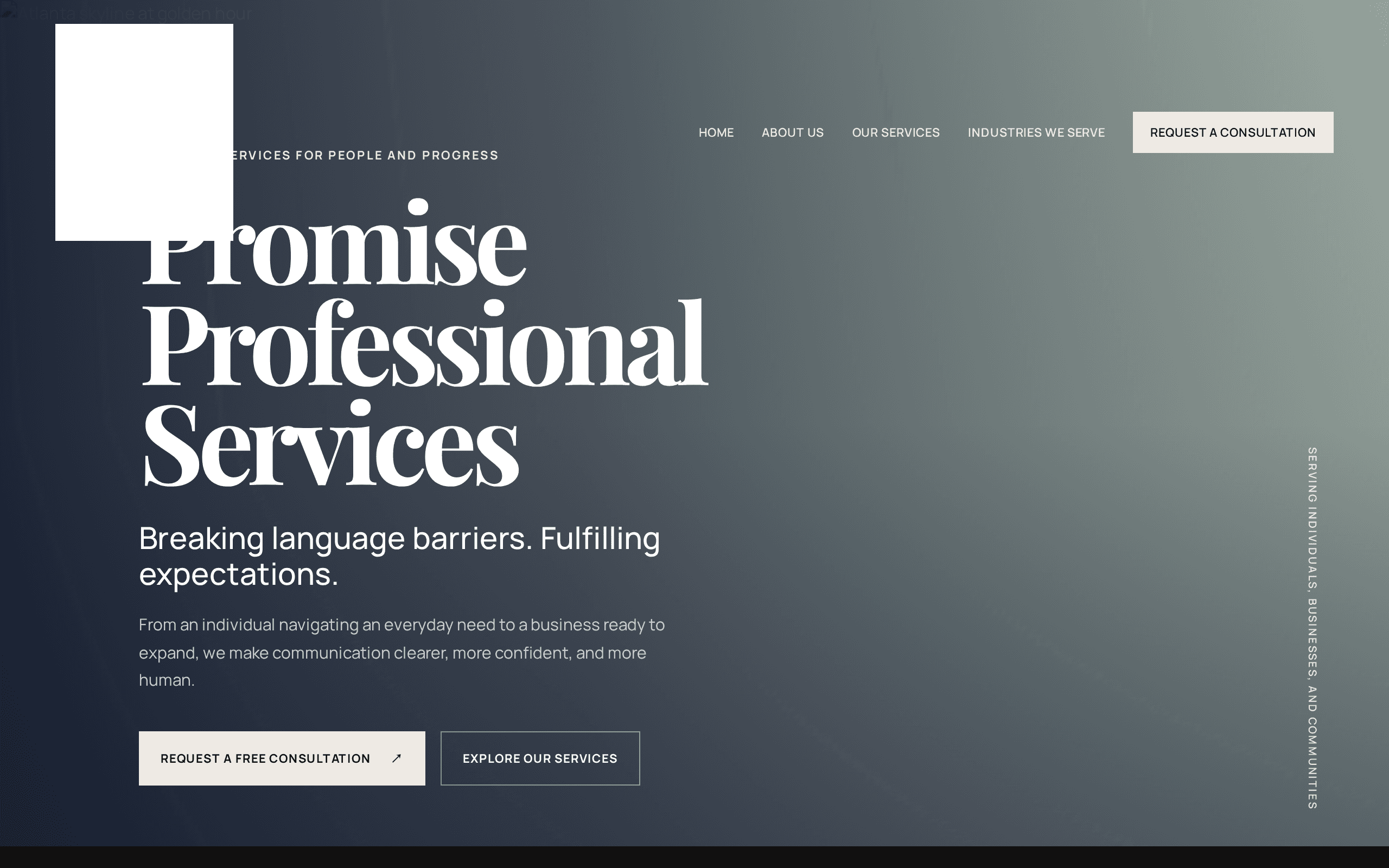 Screenshot of Promise Professional Services