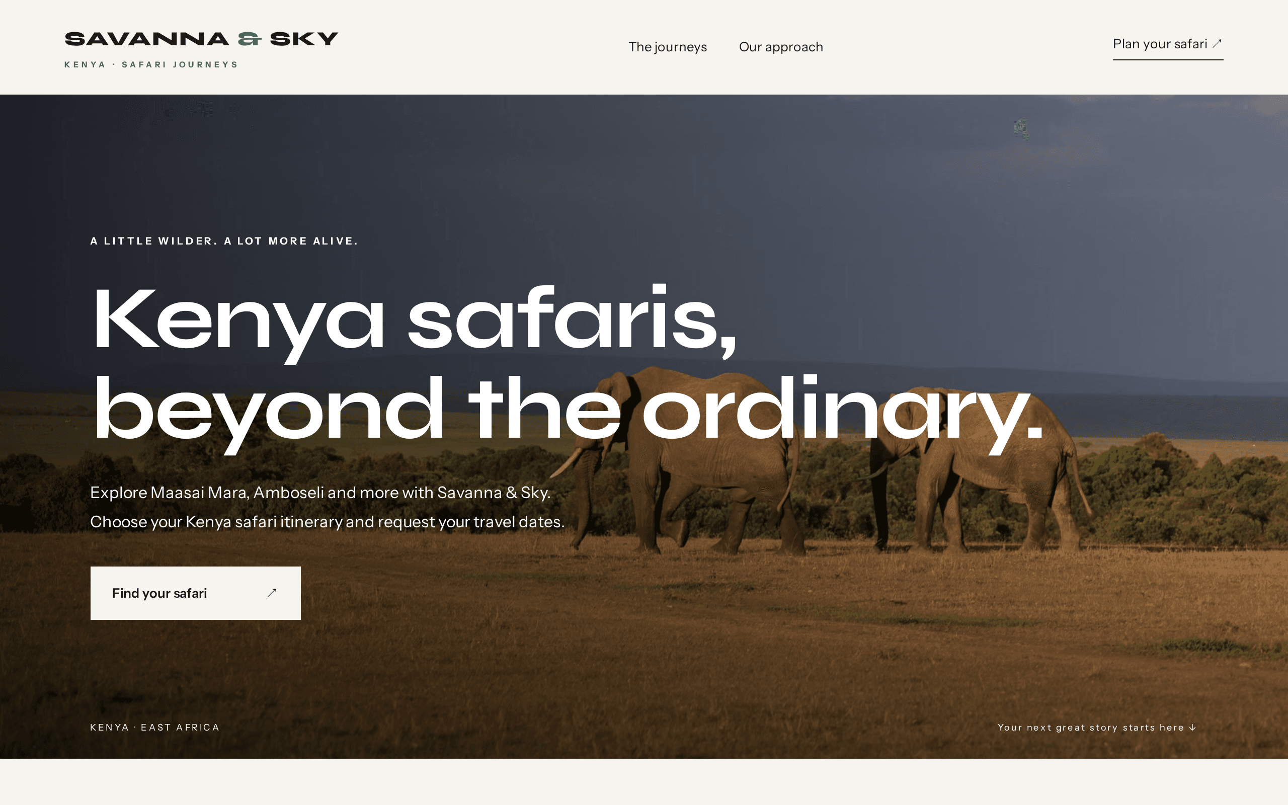 Kenya safaris that trade the postcard for the actual wilderness.