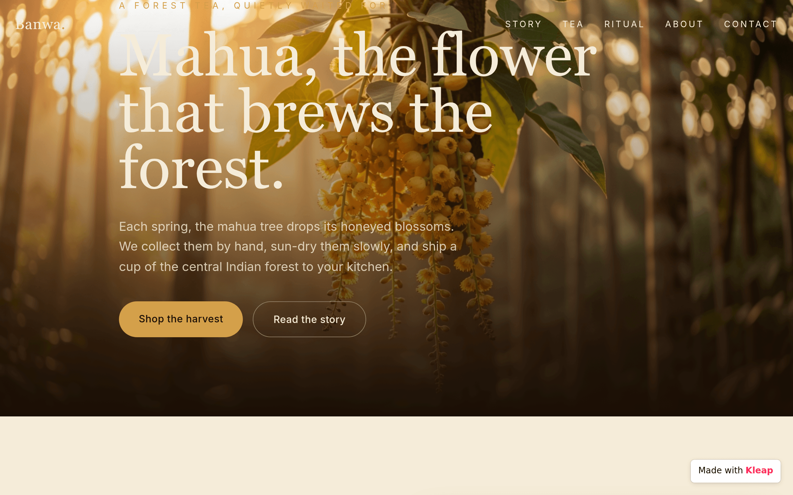 Artisanal forest tea sourced from hand-picked central Indian mahua blossoms.