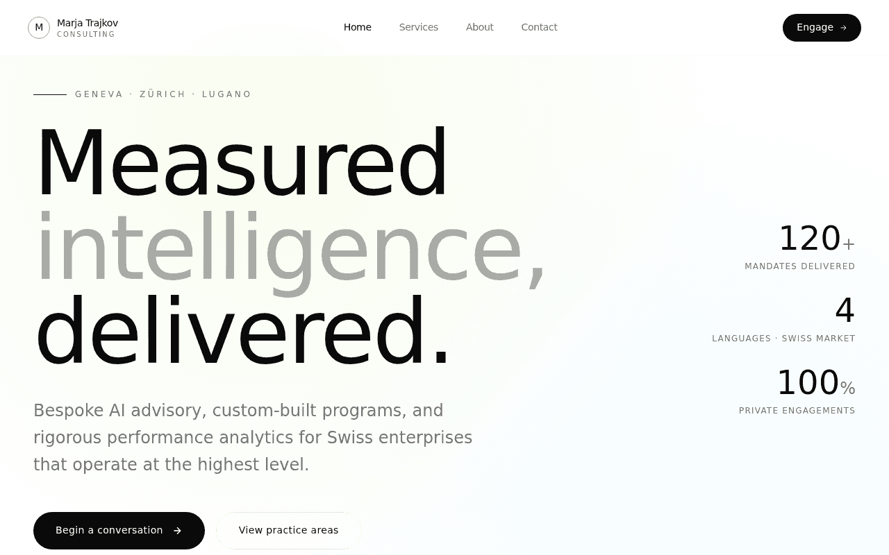 Marjan Trajkov — AI Strategy & Performance