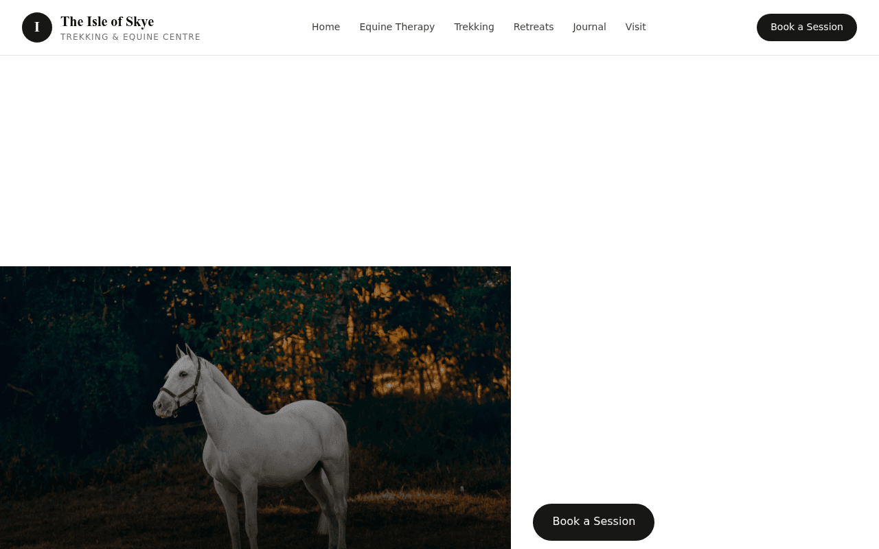 Do I need horse experience