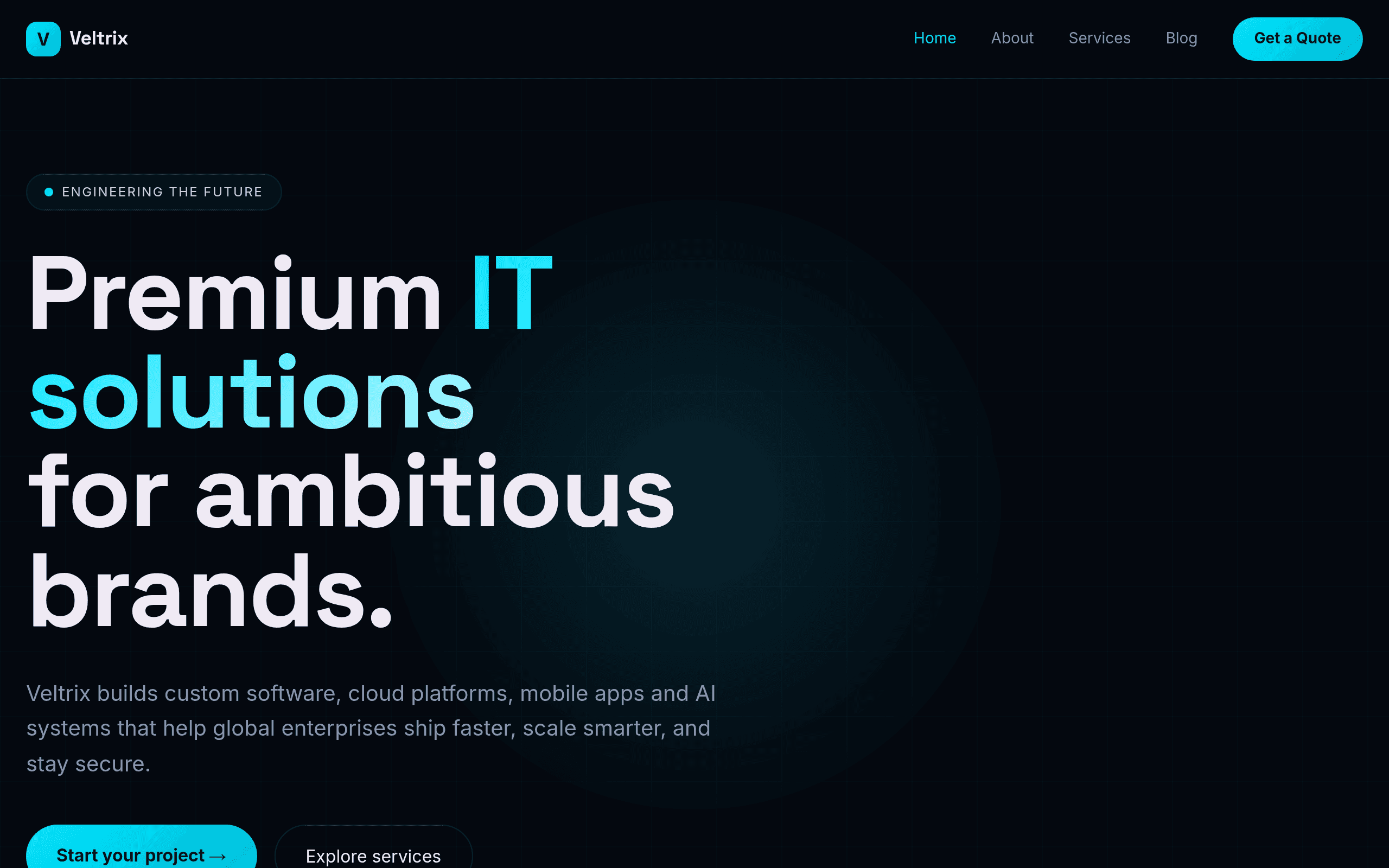 Veltrix IT Solutions