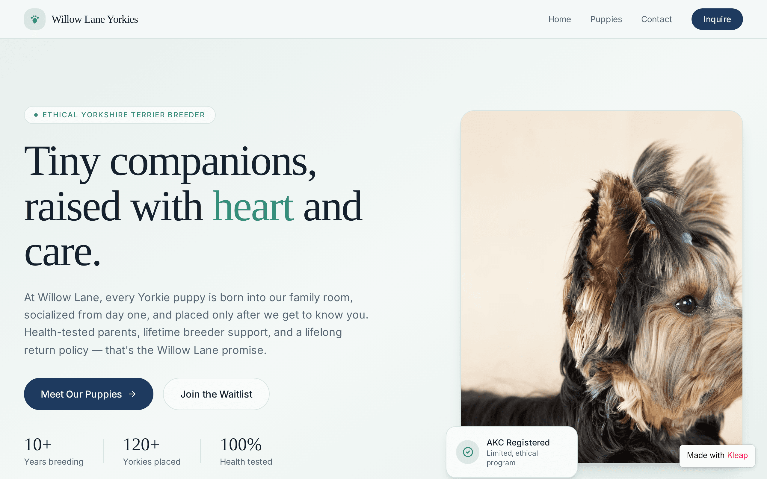 Website Goals Our
