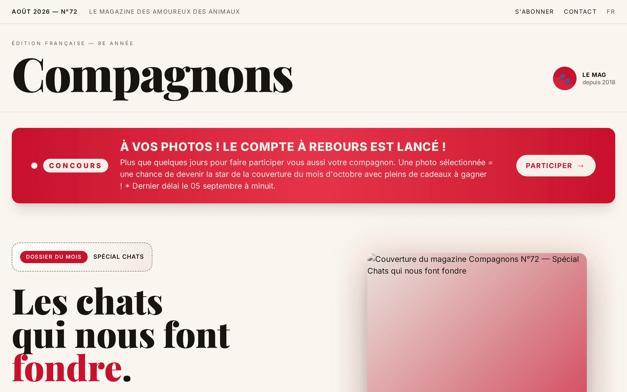 A refined French magazine for animal lovers, centered on a special cat edition.
