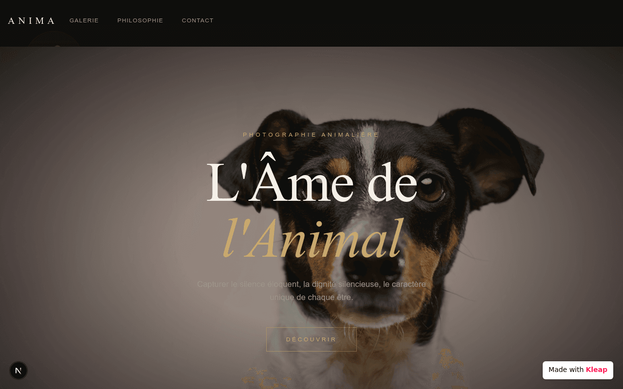 A sophisticated portfolio capturing the quiet dignity of animals through evocative photography.