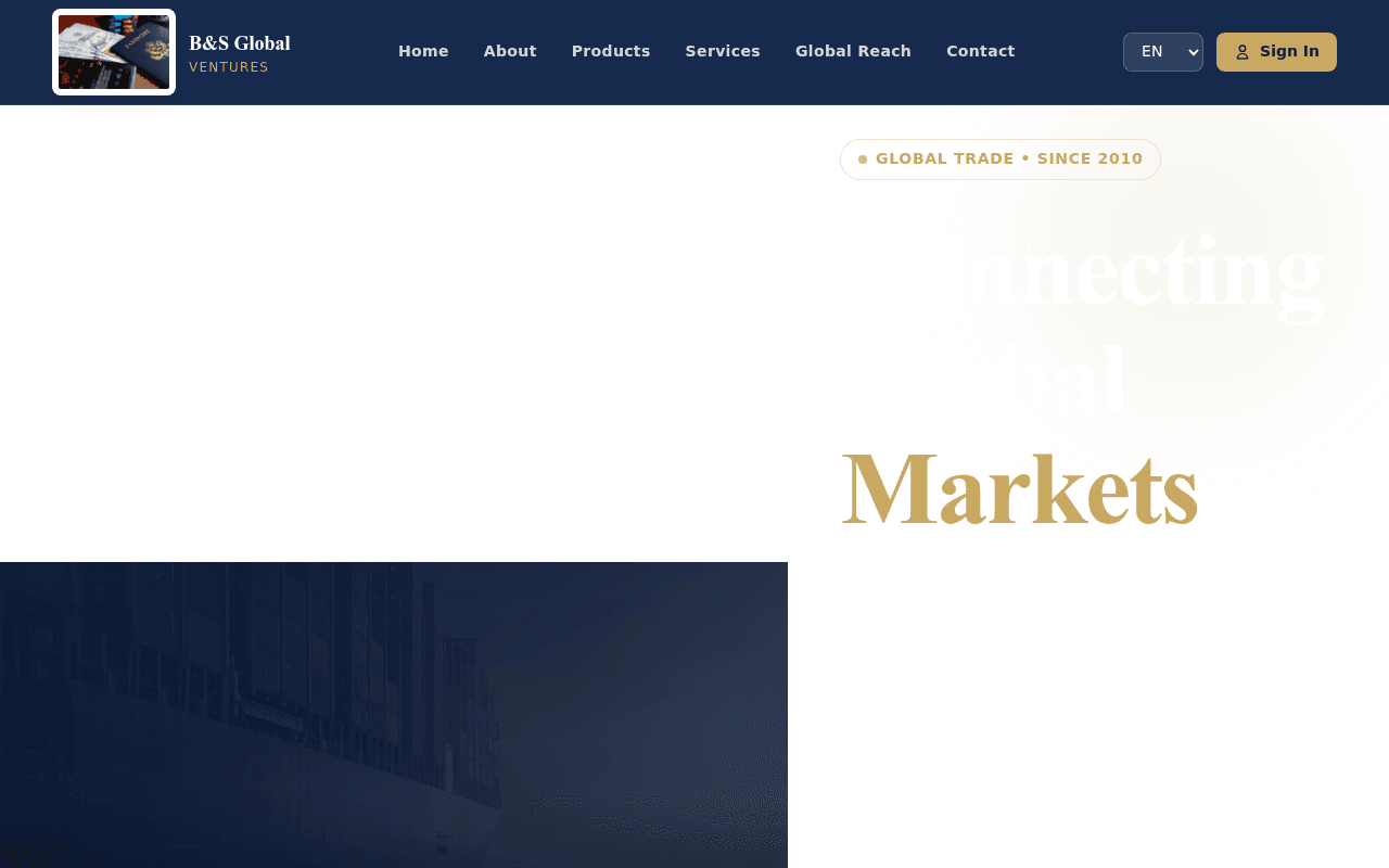 B&S Global Ventures