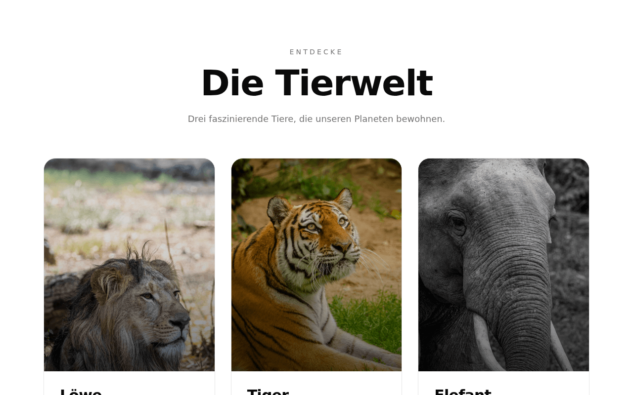 animal-card