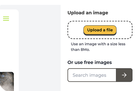 Upload file or Image